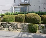 マンションC様画像
