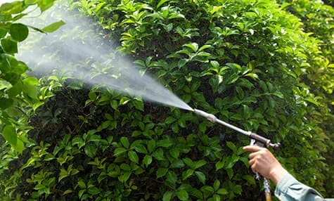 薬剤散布・害虫駆除