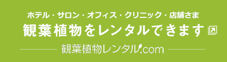 ホテル・サロン・オフィス・クリニック・店舗さま 観葉植物をレンタルできます