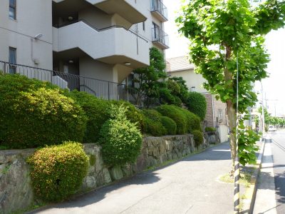 マンションの年間植栽管理事例。植栽管理費が約40％ダウン（大阪府枚方市）