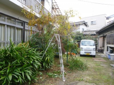 母屋と離れ、アパートと続く敷地内全ての庭木の手入れ