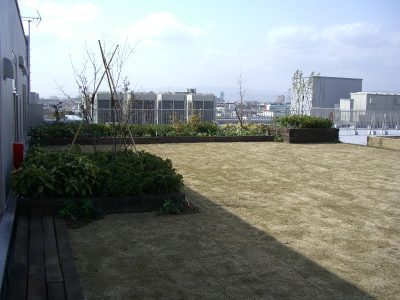 工場の屋上緑化は、工場立地法で必要な緑地にもなる！