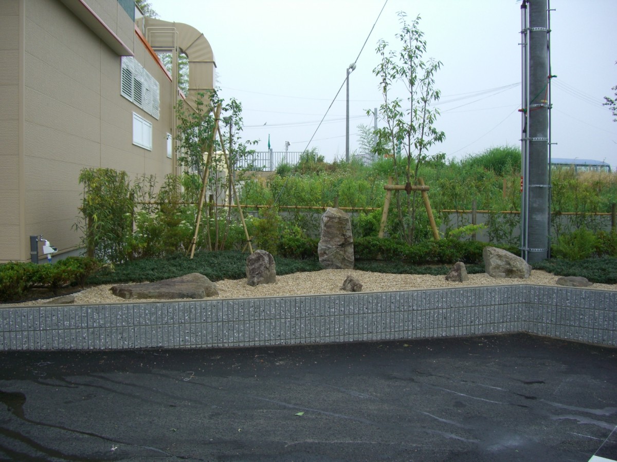 飲食店の造園工事 シラカシとソヨゴの株立ちの植栽 大阪 京都の植木屋松正 庭木伐採 剪定 植栽管理