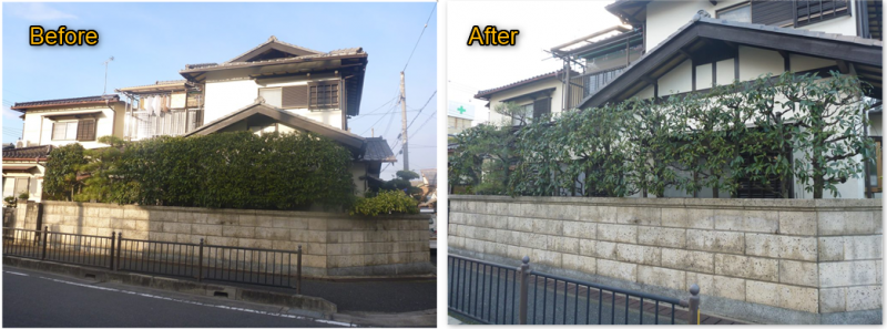 剪定のBefore・After