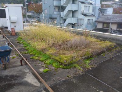 屋上緑化スペースの撤去｜表面が汚く雨漏りも心配　京都市左京区