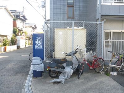 勝手に生えたアカメガシワの駆除｜再生防止のための薬剤塗布　大阪府松原市