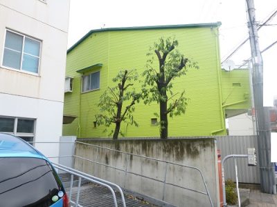 シラカシ２本の強剪定｜木のせいでマンションのアプローチが薄暗い　大阪府豊中市