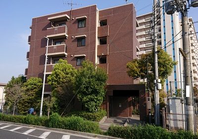 マンションの植栽剪定｜生い茂った木が1階の日当たり妨害　大阪市平野区