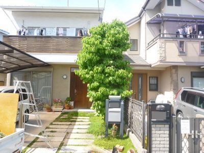 庭先のハナミズキの剪定｜落葉が多いので木を小さくして欲しい　大阪府枚方市