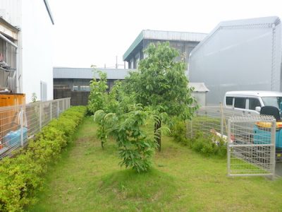 保育園の敷地に砂場を作成｜植木を撤去し木の枠から組み立て　大阪府枚方市