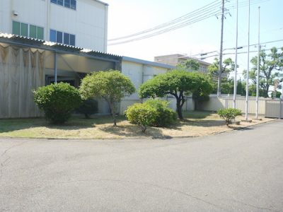 工場敷地350㎡の草刈りとウォールガーデンのツタ剪定　東大阪市