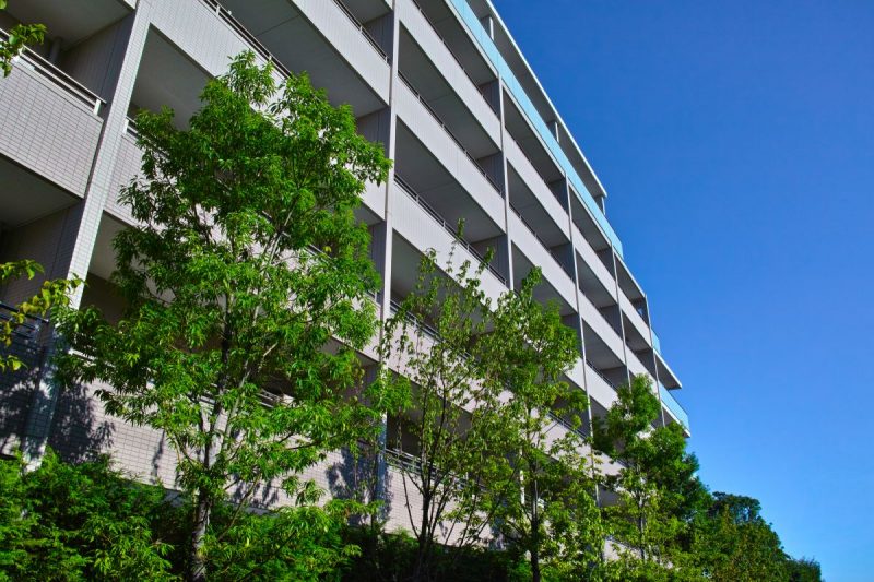 マンション植栽管理の豆知識 管理組合役員必見のコスト削減のコツと植木屋の選び方 大阪 京都の植木屋松正 庭木伐採 剪定 植栽管理