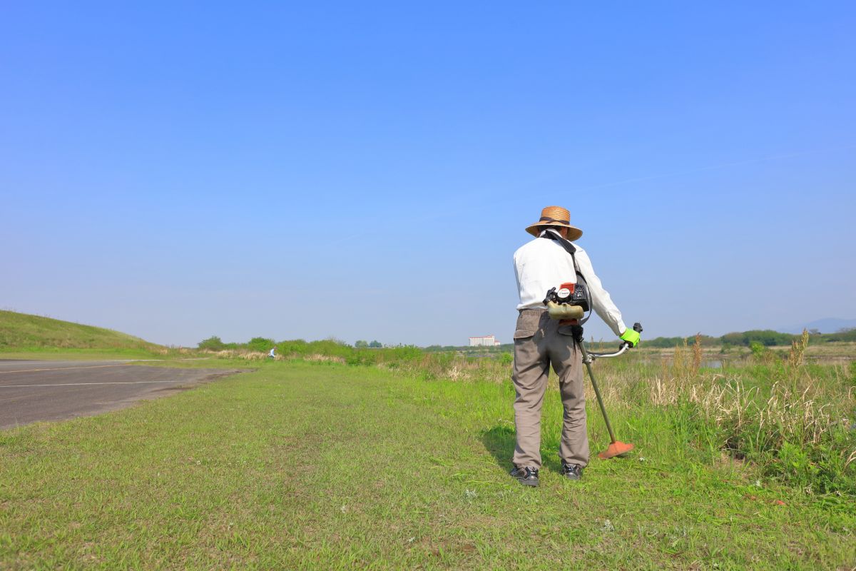 広範囲の草刈りの方法 効率よく雑草をなくすポイント 大阪 京都の植木屋松正 庭木伐採 剪定 植栽管理