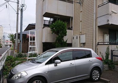 台風で傾いたカイヅカイブキなどの伐採　大阪府堺市　社員寮