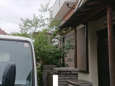5mのシュロの伐採｜家主様の代わりに隣家のお客様がご依頼　京都市伏見区桃山町
