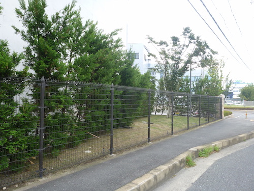 生垣の補修｜台風で工場に植えたレイランディの生垣が支柱ごと傾いた 京都府長岡京市 大阪、京都の植木屋松正 庭木