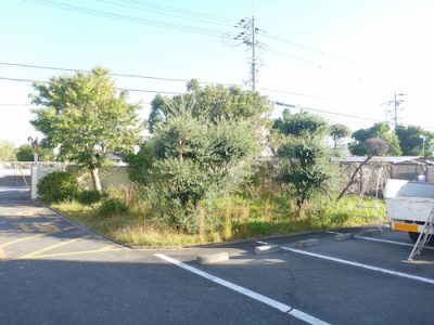 工場の植栽剪定と草刈り｜敷地の高木剪定と駐車場の草刈り　東大阪市