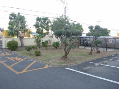 工場の植栽剪定と草刈り｜敷地の高木剪定と駐車場の草刈り　東大阪市