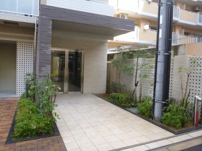 植栽の手入れ｜自社ビルと管理物件など３箇所を1日で完了　大阪市