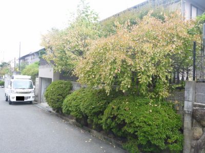 空き家の庭木剪定｜遠方に引っ越したため手入れに行けない　枚方市