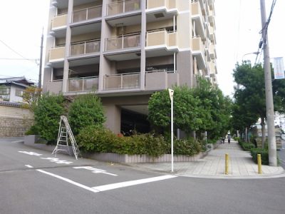 マンション周りの木の剪定｜植え込みにゴミを捨てられる　大阪市天王寺区