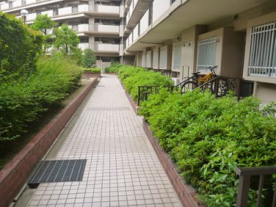 マンション植栽の害虫対策｜年間管理で定期的な薬剤散布　京都府八幡市