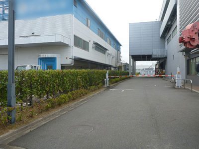 レッドロビンの生垣剪定など工場の植栽管理　京都府宇治市