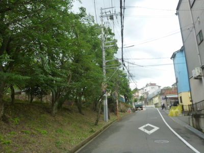 道路沿いで電線にかかったサクラ並木（ 7〜10m）の剪定　大阪府枚方市