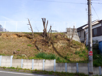 駐車場横の斜面にあるクヌギを強剪定　大阪府枚方市