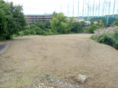 法人が所有する空き地の草刈り【植栽年間管理】　大阪府堺市