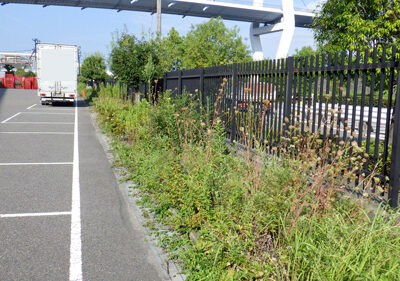 物流センターの草刈り作業・低木剪定（サツキ）　大阪市西淀川区