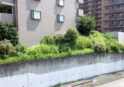 傾斜地に建つマンションの草刈り｜年間植栽管理　大阪府枚方市