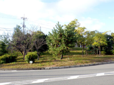 道路沿い広場の草刈り・芝刈りの作業事例｜年間植栽管理　大阪府枚方市