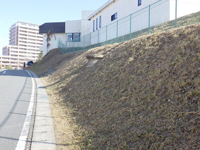 高台にある病院敷地周囲の斜面地にて草刈りを実施した事例｜年間植栽管理　大阪府枚方市