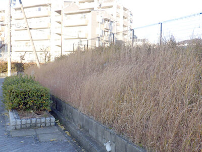 高台にある駐車場周囲の斜面にて草刈りを実施した事例｜年間植栽管理　大阪府枚方市