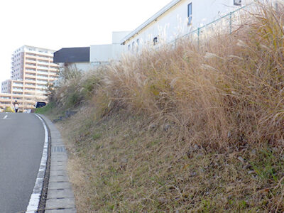 高台にある病院敷地周囲の斜面地にて草刈りを実施した事例｜年間植栽管理　大阪府枚方市