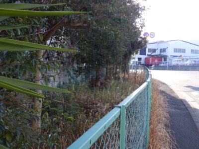道路沿いの植栽足元の除草作業を長さ200mにわたり実施した事例｜大阪府枚方市