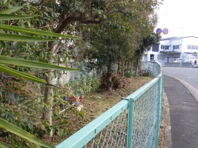 道路沿いの植栽足元の除草作業を長さ200mにわたり実施した事例｜大阪府枚方市