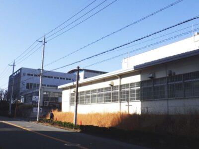 【植栽年間管理】除草作業とクスノキの高木剪定を実施した事例｜大阪府枚方市