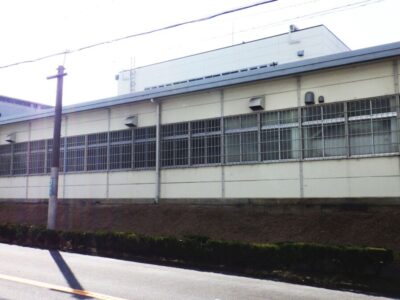 【植栽年間管理】除草作業とクスノキの高木剪定を実施した事例｜大阪府枚方市