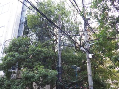 施工画像