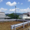 雑草が生い茂っていた高台の除草作業と雑木の伐採をした事例｜京都市伏見区