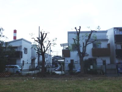 近隣の住宅へ葉が落ちてしまい掃除が大変だったクスノキの強剪定を実施した事例｜大阪府枚方市