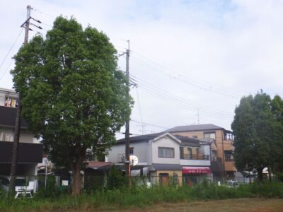 施工画像