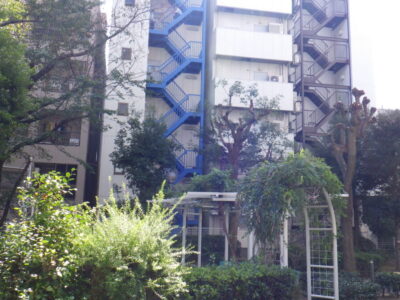 マンション敷地内の背の高い落葉樹を2人2日で剪定した事例｜大阪市港区（作業後）