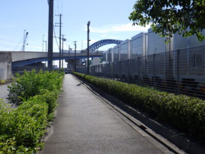 100mに渡るヒラドツツジの低木剪定と雑草の除草作業を実施した事例｜大阪市港区