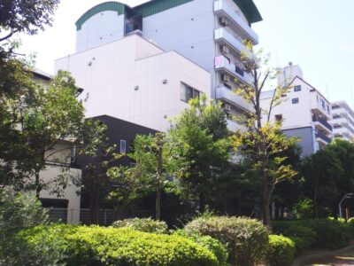 マンション敷地内の背の高い落葉樹を2人2日で剪定した事例｜大阪市港区（作業後）