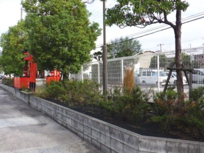 工場敷地内の植栽の間の雑草を手抜きと草刈り機で除草した事例｜大阪市西淀川区（作業前）