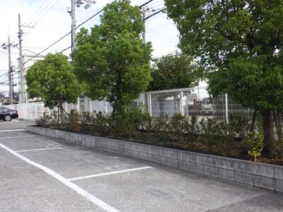 工場敷地内の植栽の間の雑草を手抜きと草刈り機で除草した事例｜大阪市西淀川区（作業前）