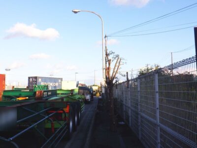 物流センターの除草作業と高木剪定を2人2時間で実施した事例｜大阪市此花区